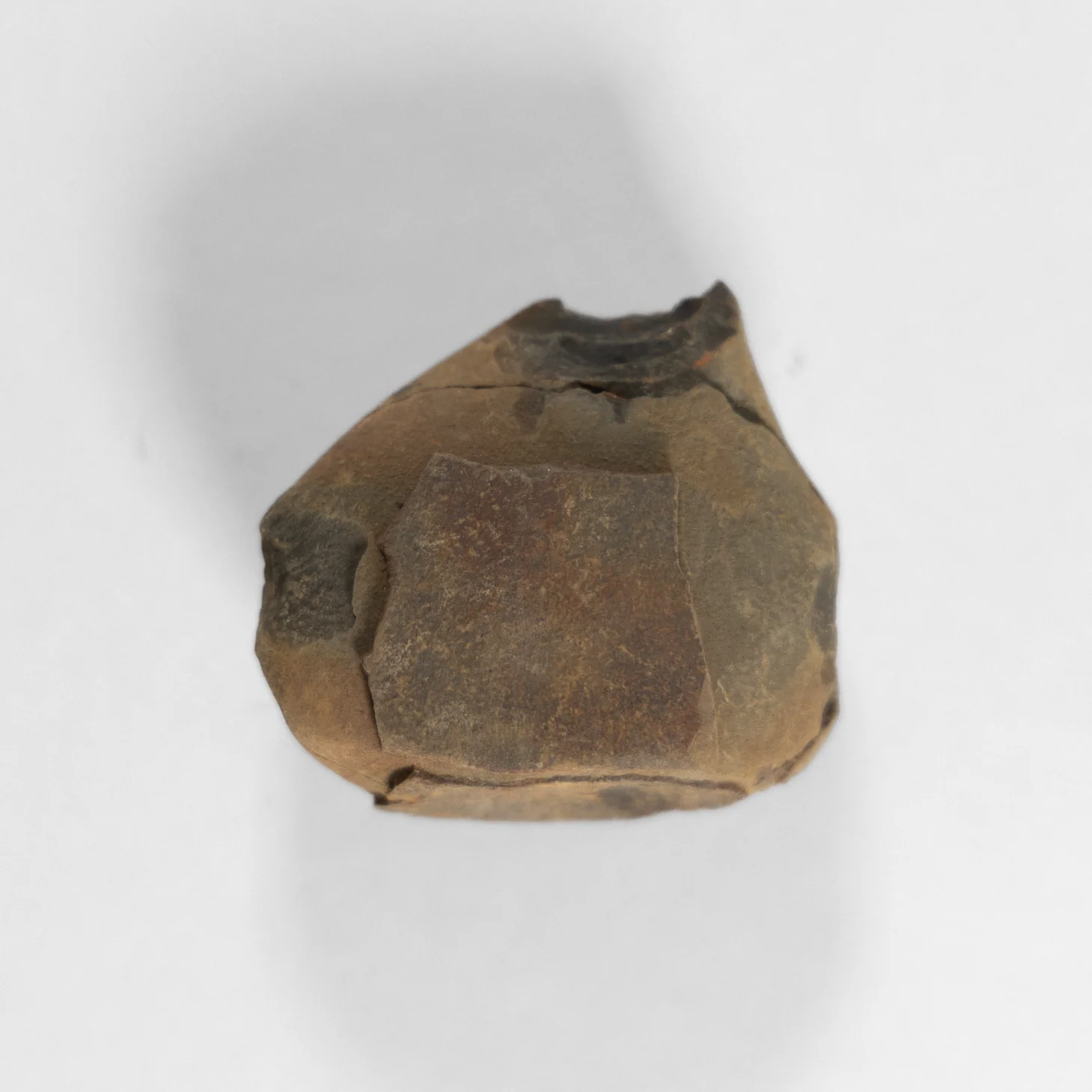 Fern Fossil - Image 5